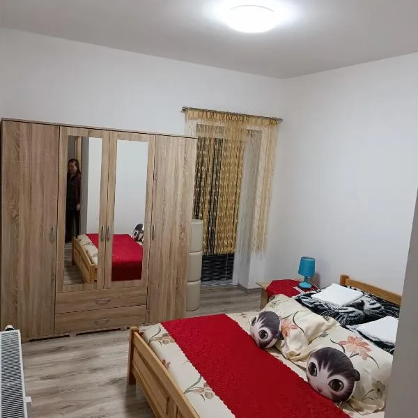 Viet Sen Pension, hotel v destinaci Železná Ruda