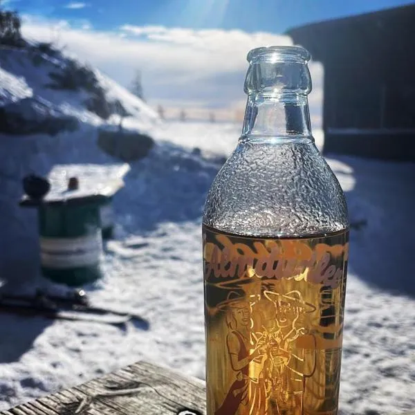 Panorama Lodge Hohegeiß Sport und Erholung im Harz, hôtel à Braunlage