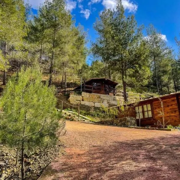 Bosco Paradiso, hotel a Limassol