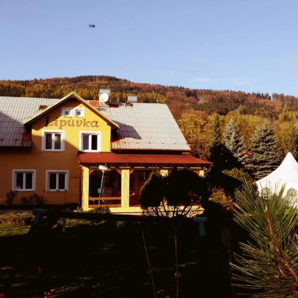 Penzion Lipůvka, hotel in Lipová-lázně