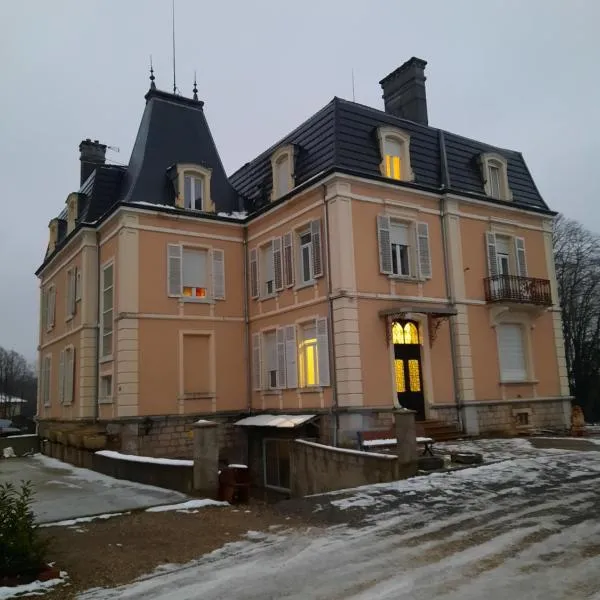 Château Japy F3 7 ieme art – hotel w mieście Dasle