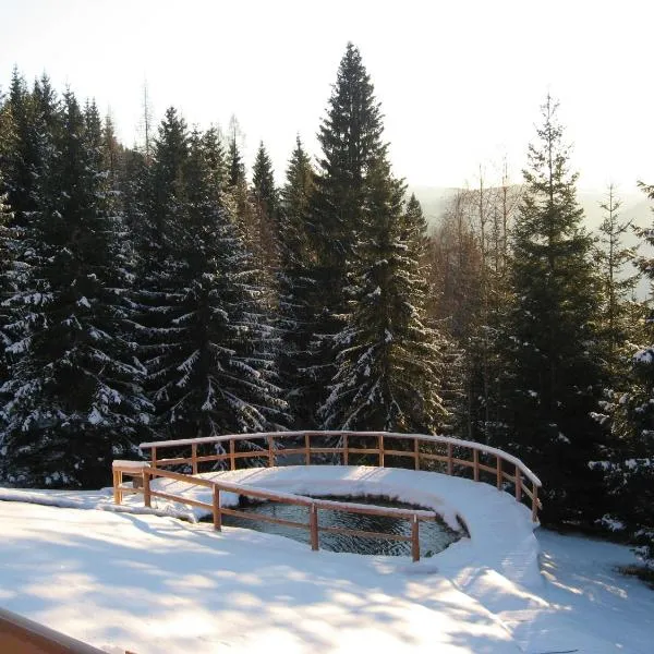 Chalet Nel Doch Villa Cheia – hotel w mieście Mezzano