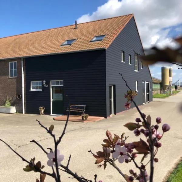 Appartement De Graanzolder aan Zeeuwse kust, hotel a Hoofdplaat