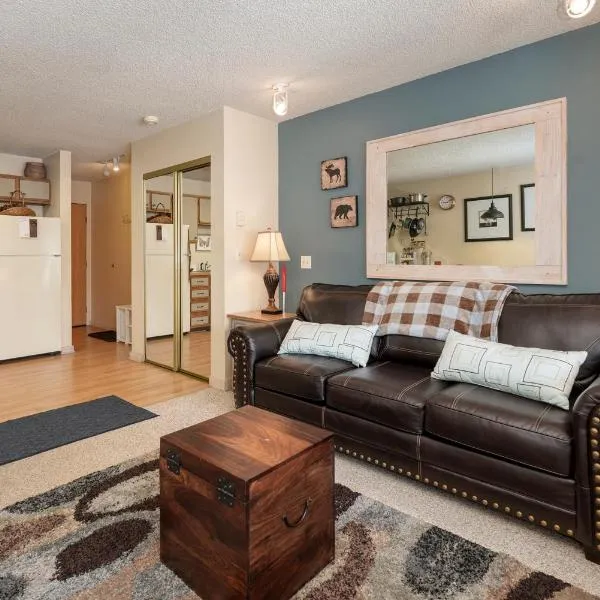 Snowblaze E102 Studio, hotel in Winter Park