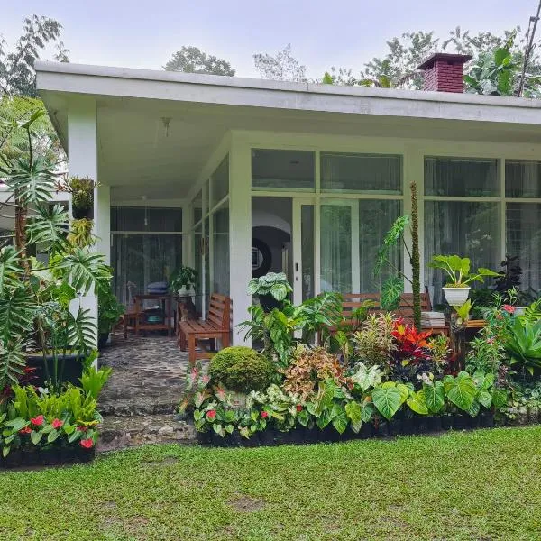 The Forest Villa, hotel v destinaci Bogor