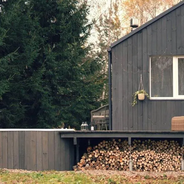 Hand made Off Grid forest Cabin Luna, hotel in Liepiškės