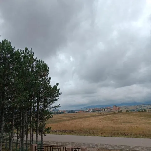 Apartment Diana、ズラティボールのホテル