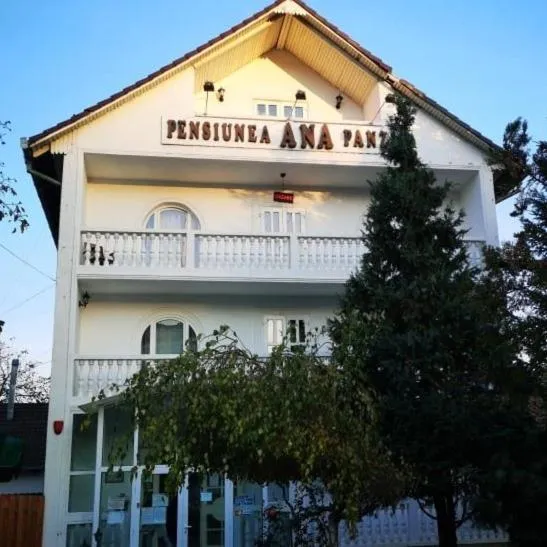 Pensiunea Ana, hotel en Târgu Mureș