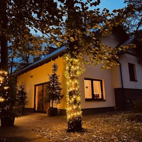 Dom Blisko Natury Boszkowo Letnisko Dom A, hotel in Boszkowo-Letnisko