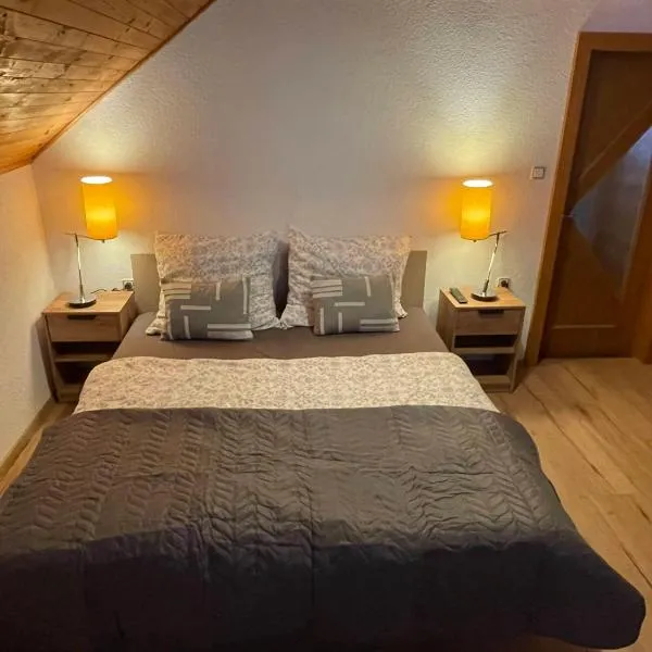 Chata u lesa, hotel v destinaci Bezděkov