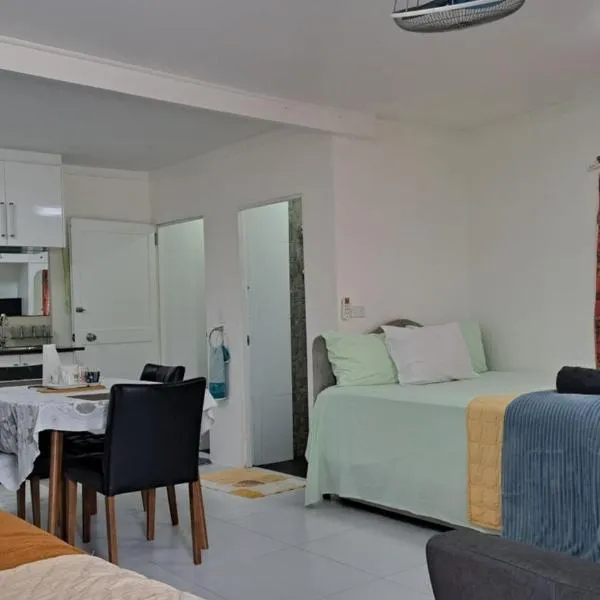 Mead Road Homestay Tours & Transfers Studio, hotel in Suva