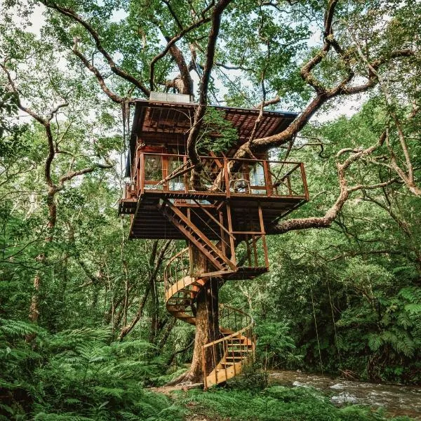 Treeful Treehouse Sustainable Resort, hotel di Abu