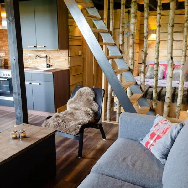 La cabane du cerf et son sauna, hotel sa Attre