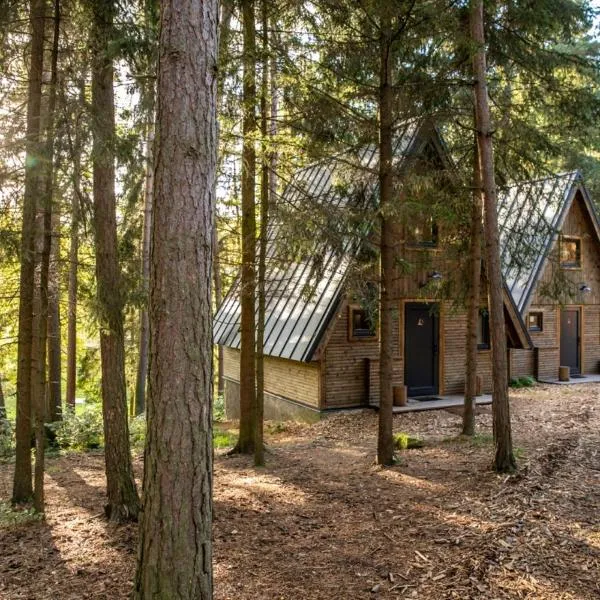 Lesní Apartmány, hotell i Kožlí