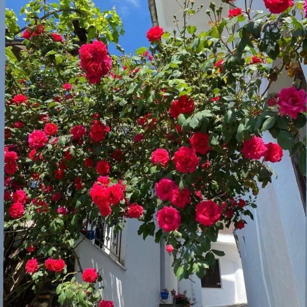 Διαμέρισμα Αγγελική, hotel em Makrinitsa