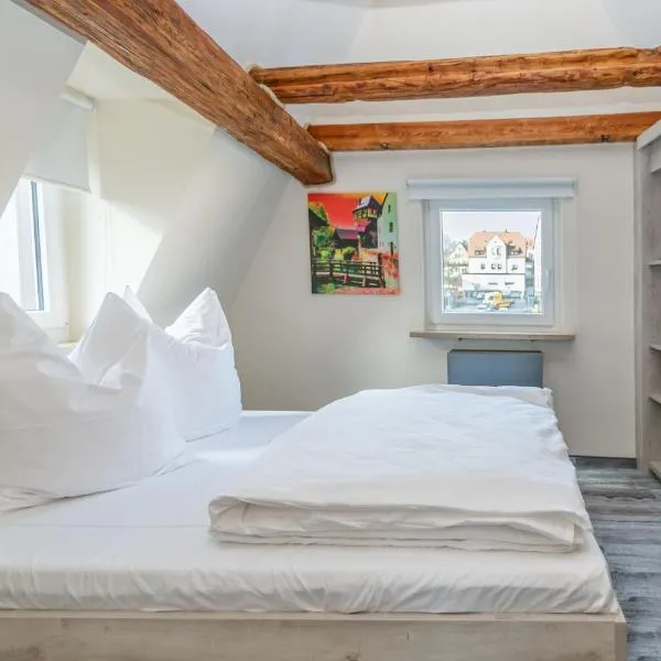 H+M Boarding Houses, hotel in Lauf an der Pegnitz