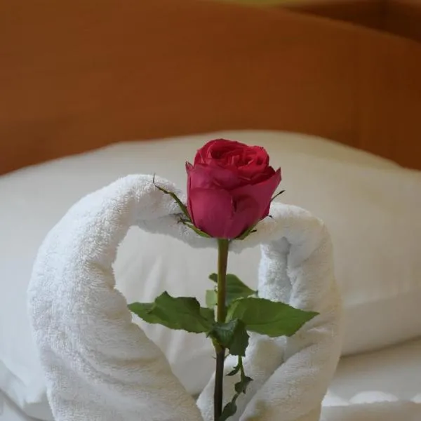 Hotel Lupus, hotel v destinaci Novi Sad