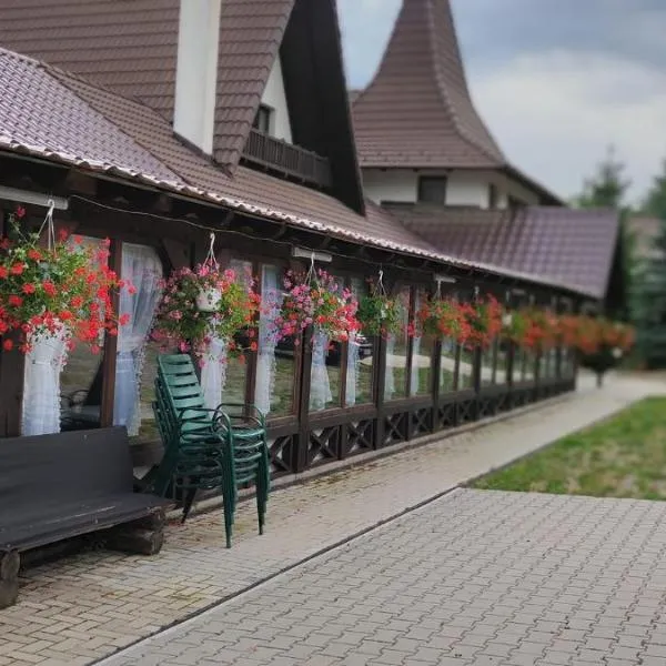 Pensiunea Steaua Nordului, hotel in Poeni