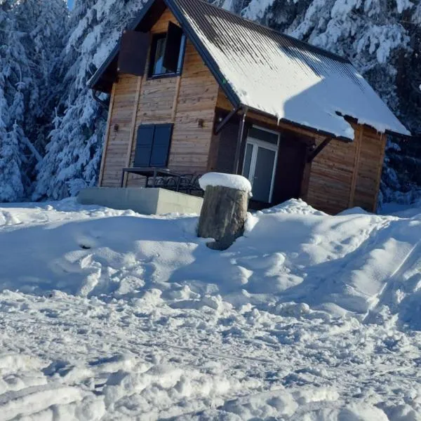 Planinska kuća Jabuka, hotel v destinaci Prijepolje