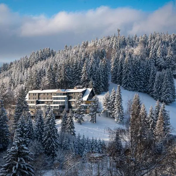 Spa hotel Lanterna, hotel em Velké Karlovice