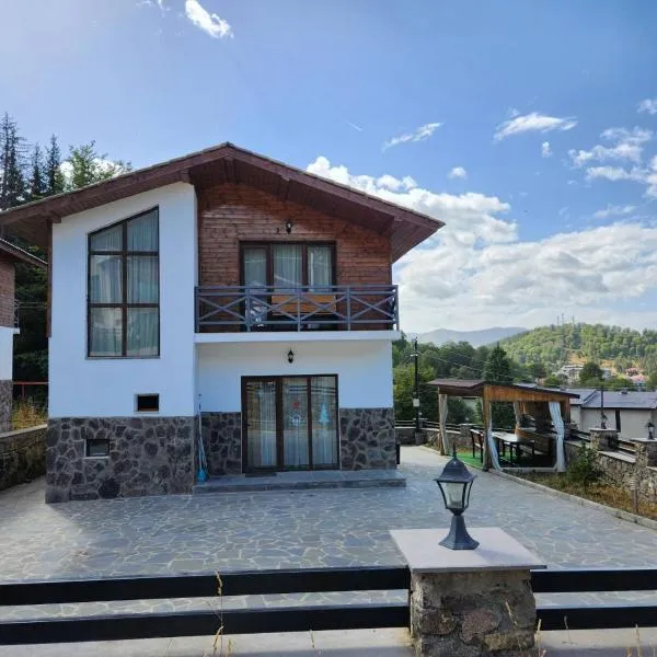 villa in mountains, ξενοδοχείο στο Bakuriani