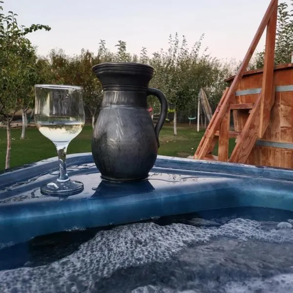 Pit Stop Elis、Ogrăzileのホテル