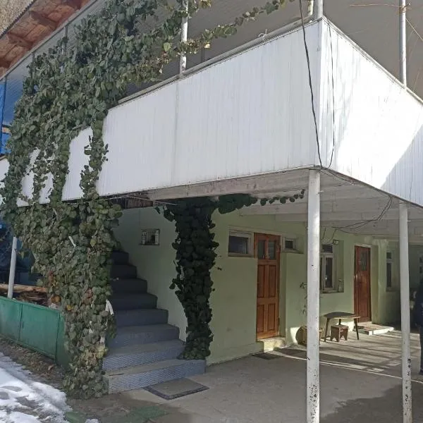 Guest House "SVANETI", hotel in Lentekhi