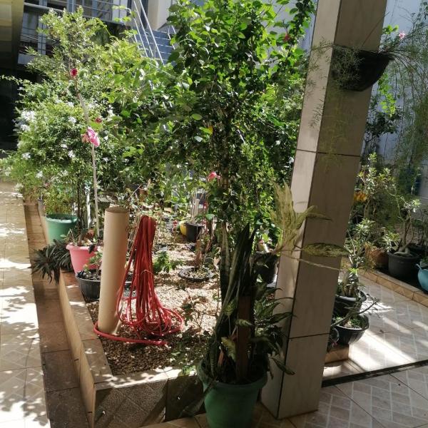 Quarto para Rapazes no Centro Sinop MT - Foto 5