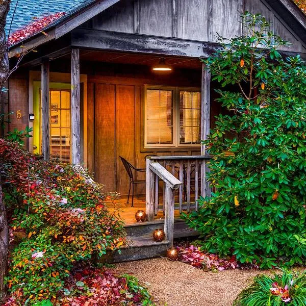 Love Ridge Mountain Lodging, hotel in Lyndhurst