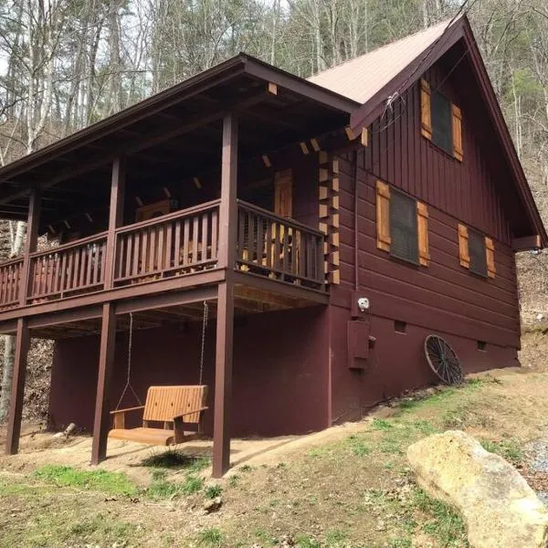 Dollywood-Brand New Dancing Bear 4, hotel in East Fork