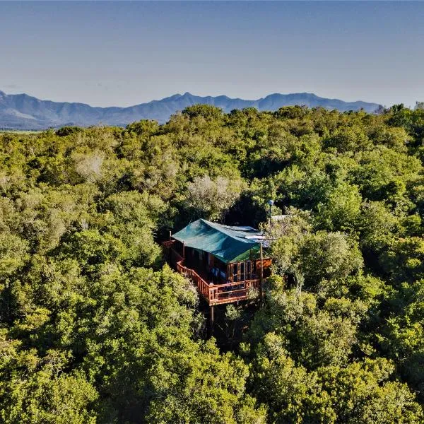 Teniqua Treetops, hotell i Noll