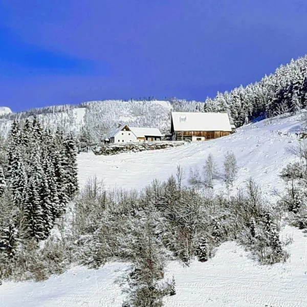 Familienbauernhof Imitz, Ferienwohnung, hotel en Spital am Pyhrn