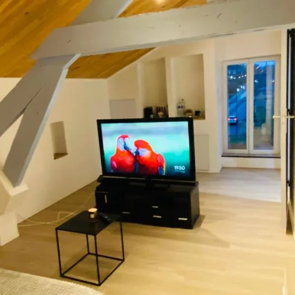Studio Cros climatisé, hotel v destinácii Castres