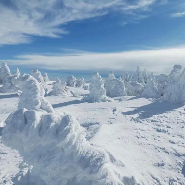 Loire-Gerbier-Mézenc, hotel in Sainte-Eulalie