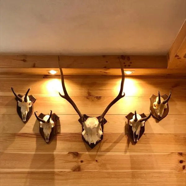 Chalet Monaci alla Fontana "Junior suite", hotel in Albosaggia
