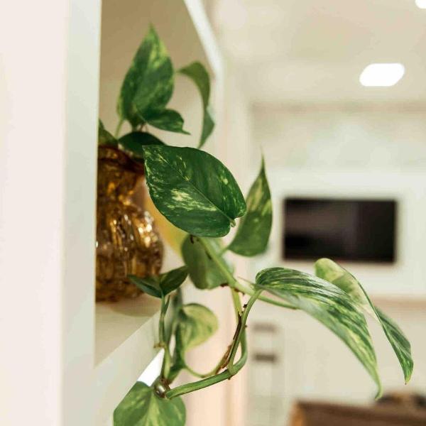 Apartamento em foz do Iguaçu - Foto 5