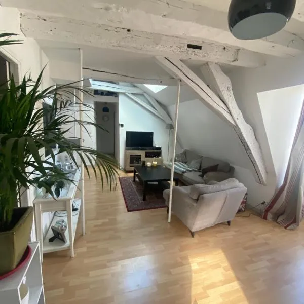 TOURS quartier halles 70m2, hotel u gradu Tur