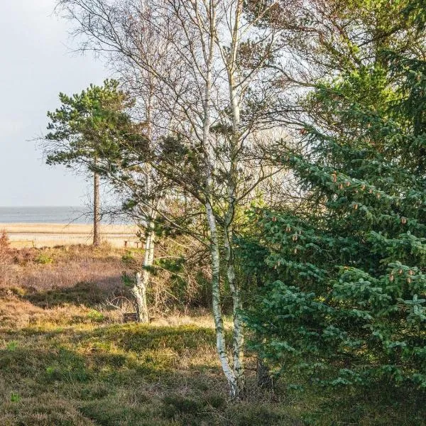 Holiday home Rømø CXXV, hotel v destinaci Romo Kirkeby