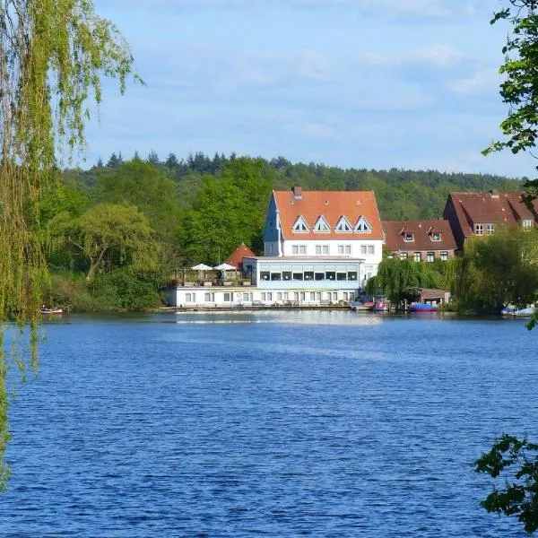 Restaurant und Hotel Zum Weissen Ross, hotel in Büchen