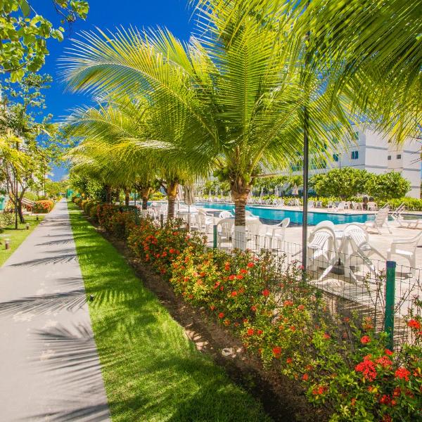 Apartamento - Porto de Galinhas