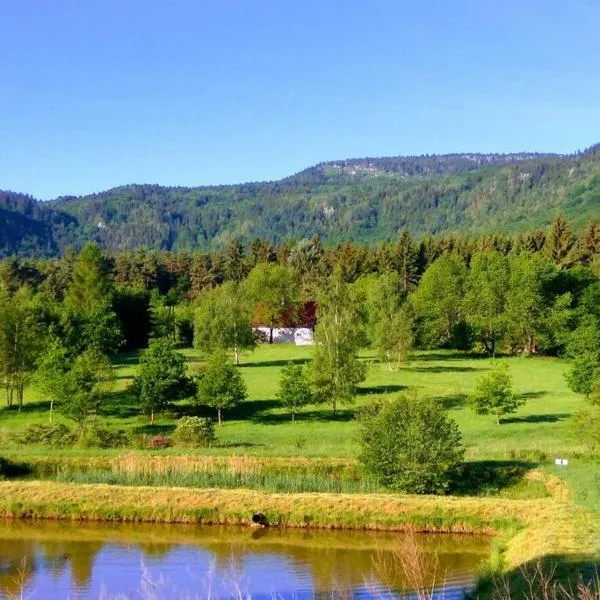 Dom Sielski w Górach Stołowych, Hotel in Radków