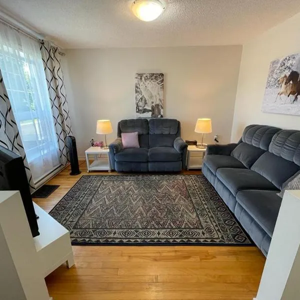 3 Bedrooms cozy comfortable vacation home downtown Gatineau Ottawa near Parliamant and Park, hotel v destinaci Gatineau
