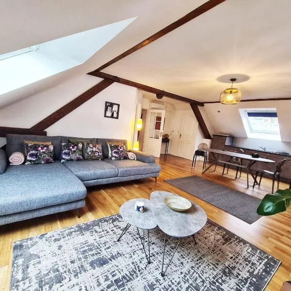l'Alchimiste - Appartement moderne avec jacuzzi, hotel em Bitche