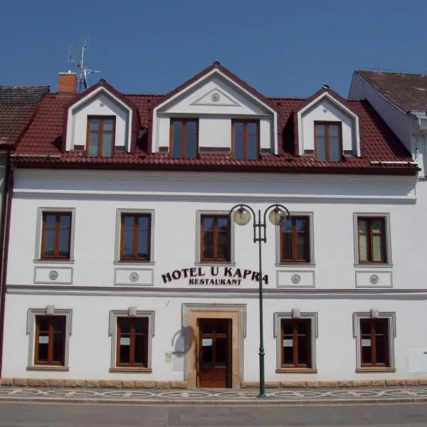 Hotel u Kapra, hotel in Úhlejov