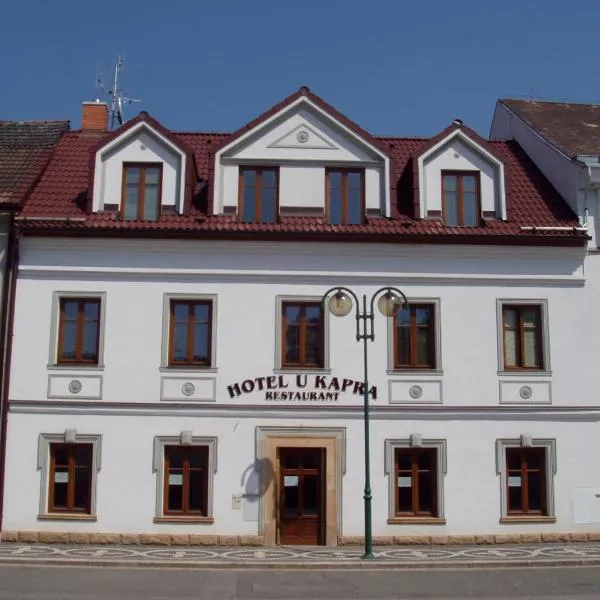 Hotel u Kapra, hotel in Stříbrnice