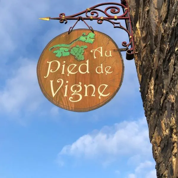 Appart Hotel Au Pied de Vigne, hotel in Vresse-sur-Semois