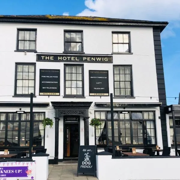 Hotel Penwig, hotel in New Quay