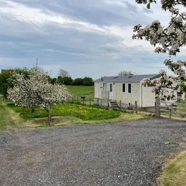 Plum Tree Lodge Set in 2 acres of Private Land, hotel din Coundon