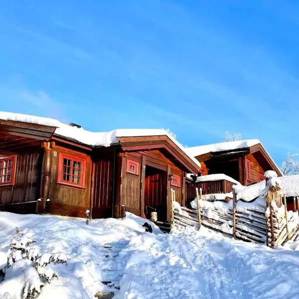 Koselig familiehytte på vakre Dagali - nær Geilo, hotel in Dagali