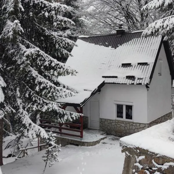 Sova, hotel v destinaci Kopaonik